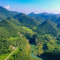 分享近50件狗狗衣服｜18家店铺种草