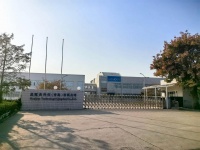 狗物分享｜小型犬衣服