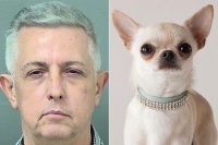 女子报警称丈夫同家中宠物狗发生性关系