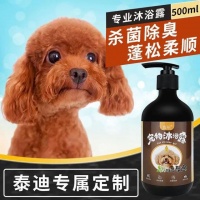 泰迪犬的洗澡好伴侣，专用沐浴露来啦！杀菌除臭两不误