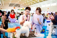 高薪宠物美容培训服务，个性化定制培训，宠物美容师人才培训