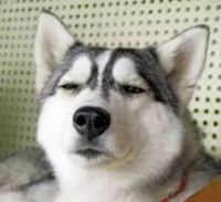 给猫狗绝育是灭绝天性吗？太残忍了，能不做吗？