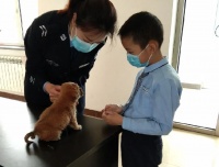 爱心领养，怎么领怎么养？