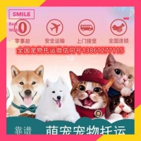 上海顺风宠物服务工作室