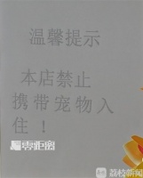 女子违规带宠物狗入住酒店，宠物狗被撞死，女子向酒店索赔