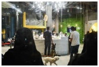 不可思议，沙特开了第一家允许带宠物狗的咖啡店！