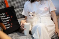 宠物服务与商品零售平台「宠物家Petem」完成亿元新一轮融资