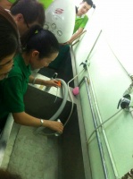 派多格宠物美容学校：狗狗SPA示范课