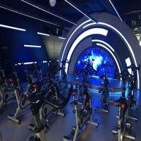 宠物健身房加盟