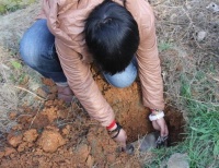 小狗死了要怎么安葬？终于有答案了！