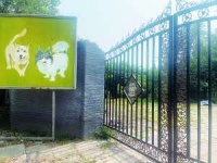 动辄万元却无资质 宠物墓地藏猫腻——中国青年网