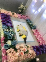 苏州宠物火化场所选择指南，上门服务优惠详解