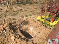 超五成人愿为宠物买殡葬服务 僧人超度要1万元