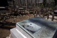 清明他们选择祭宠物