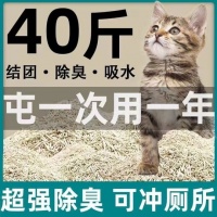 宠物猫用品批发