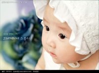 幼猫不可少的八种家庭用品