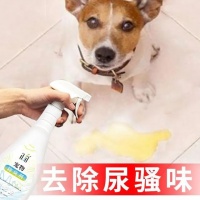 宠物猫砂除臭好帮手，一喷清新全家享，狗猫尿味去无踪