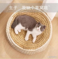 如何挑选合适的猫抓板与猫窝？来看看这款碗形猫抓板的神奇魅力！