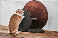 木制猫抓板，可以兼作您宠物的放松场所！