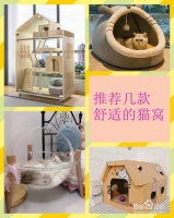 推荐几款舒适的猫窝给大家