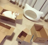 来说说你给宠物买的最没用的东西吧~我先来：猫窝！