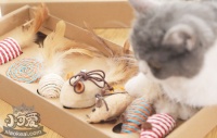 猫玩具怎么挑选 挑选猫玩具的注意事项