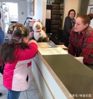 小女孩担心玩具猫病重，宠物医生仔细为它包扎，爱才是治愈的力量