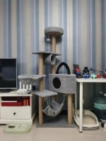 憨憨宠剑麻缠绕猫爬架，宠爱你的猫咪从这里开始