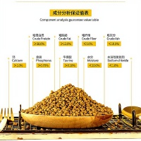 想要猫咪健康？猫粮品牌进货渠道让你轻松成为宠物食品专家！