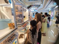 领养猫咪被要求买配套高价猫粮！多位消费者因拒买被商家告上法院