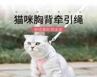 如何正确地为你的宠物猫咪系上牵引绳（小心）
