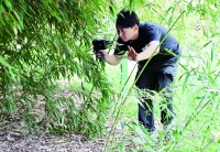 白天找狗夜里找猫 “职业寻宠人”为找宠物一天走了4万多步