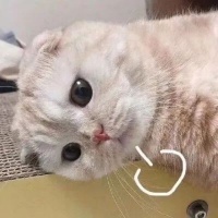 “全部被订完了！”春节前，这类寄养火爆！