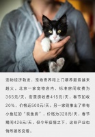 别人家的猫，在500一天的猫公寓过年