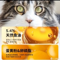 猫咪生病怎么办？宠物医生教你日常护理小妙招