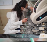 我，宠物医生，救了上万只猫猫狗狗，却被它们治愈