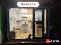 首个AI+猫咪领养站现身！城市流浪动物管理“新招式”，这次能走多远？丨宠圈那些事
