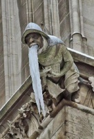 托运猫咪攻略 真的真的很简单