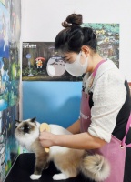 【寿光】猫咪洗护师李坤：用爱守护“萌猫星球”