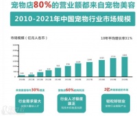 郑州多种类猫咪洗护班