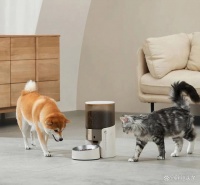 当智能化养宠成为主流｜胖鲸在现场