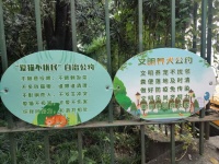 为了给流浪猫绝育，静安这个小区动足了脑筋