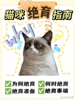 猫咪绝育指南｜养猫人看过来