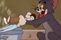 看懂猫的行为艺术，成为合格的猫语者