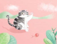 三种方法运送猫咪