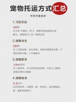 如何邮寄小猫——史上超详细宠物托运方式汇总