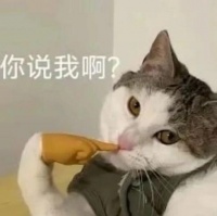 宠物店“0元养猫”爆火，免费领养真的“免费”吗？