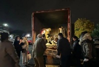 近1000只猫咪被警方拦截救下，等待领养！最新进展