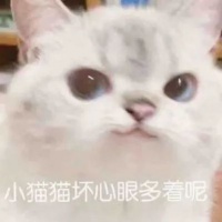 无锡猫咪领养超话—新浪微博超话社区