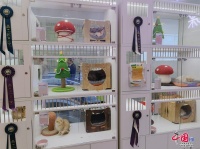 中网调查丨免费领养后支付金额竟达上万元？警惕宠物领养陷阱！